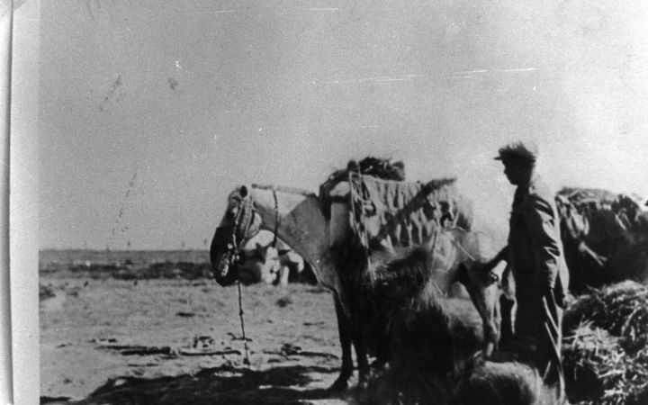 archivos_historicos_x408x