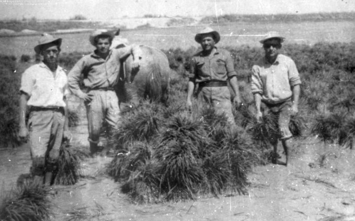 archivos_historicos_x409x