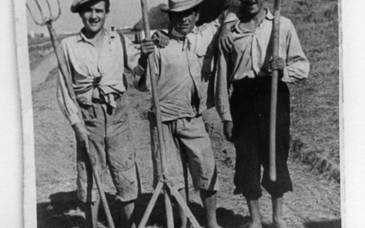 archivos_historicos_x40x