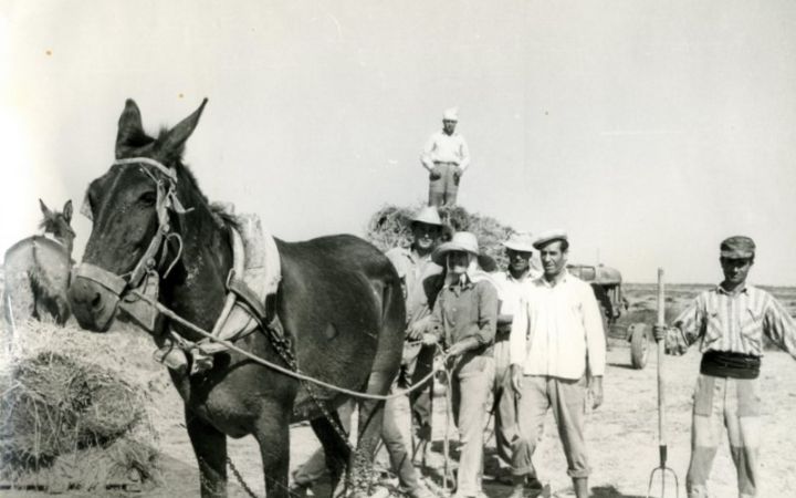 archivos_historicos_x411x