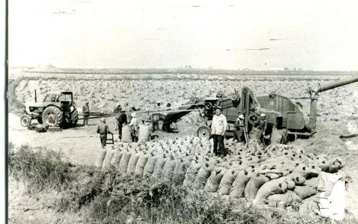 archivos_historicos_x416x