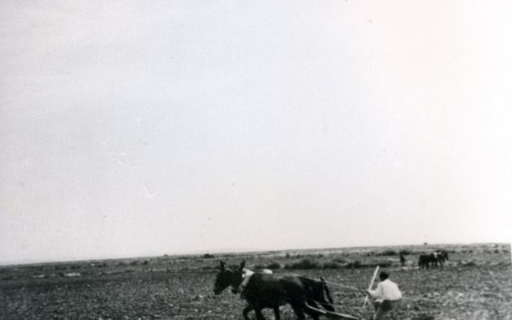 archivos_historicos_x41x