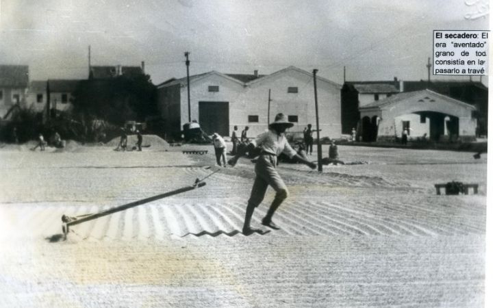 archivos_historicos_x42x