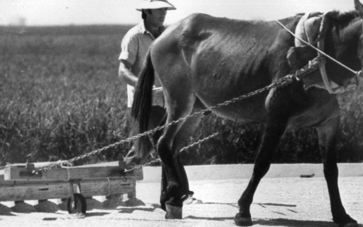 archivos_historicos_x435x