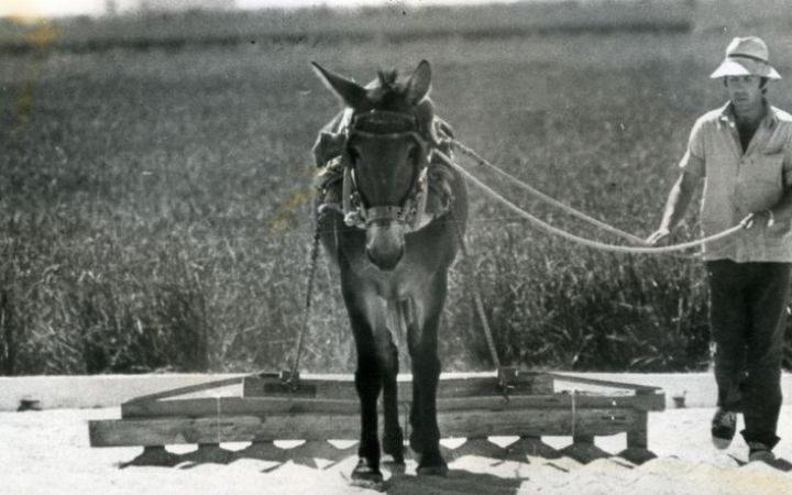 archivos_historicos_x436x