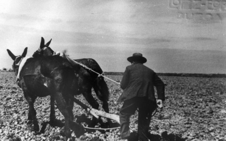 archivos_historicos_x44x