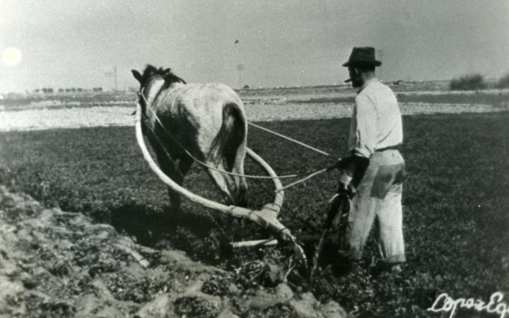 archivos_historicos_x46x