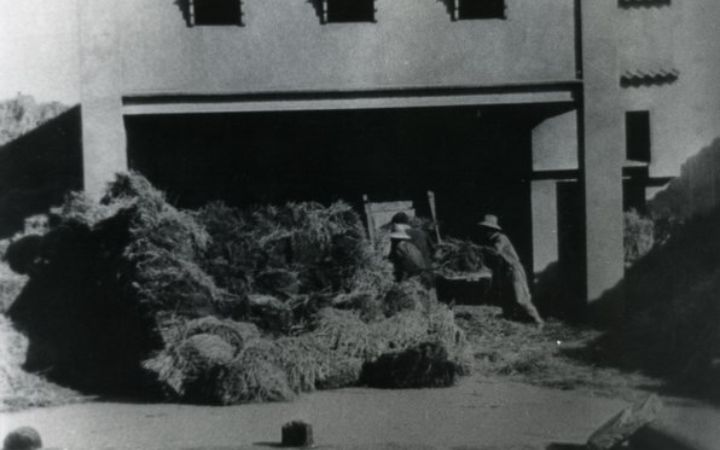 archivos_historicos_x49x