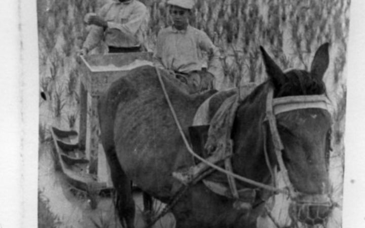 archivos_historicos_x4x