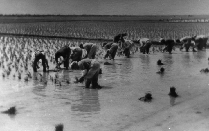 archivos_historicos_x54x