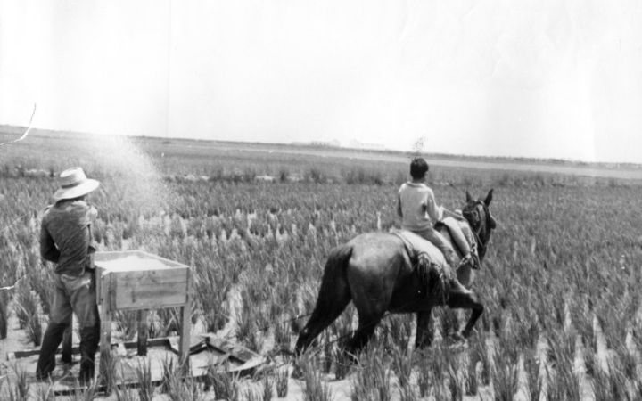 archivos_historicos_x5x