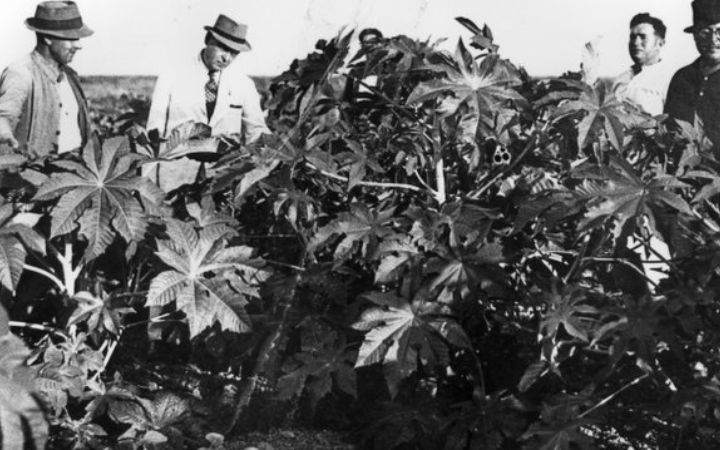 archivos_historicos_x68x