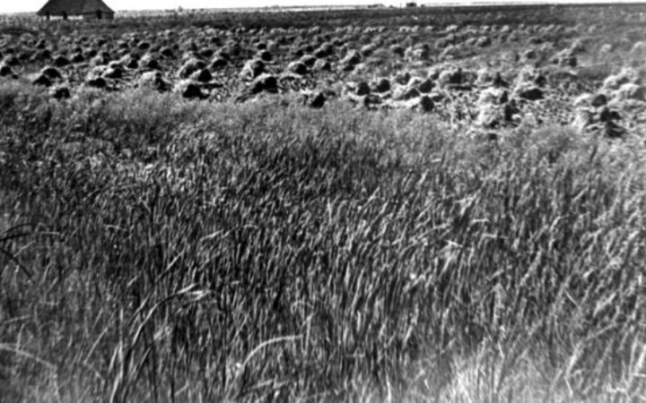 archivos_historicos_x69x