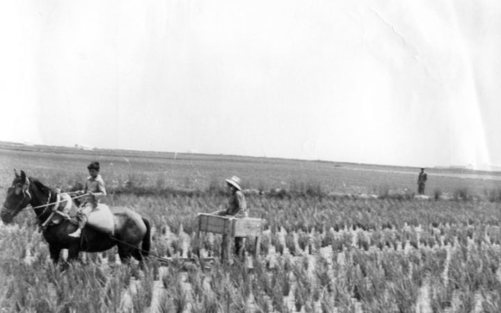 archivos_historicos_x6x