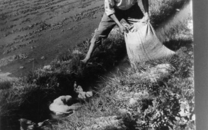 archivos_historicos_x72x