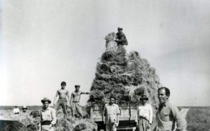 archivos_historicos_x79x