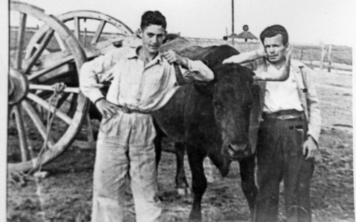 archivos_historicos_x80x