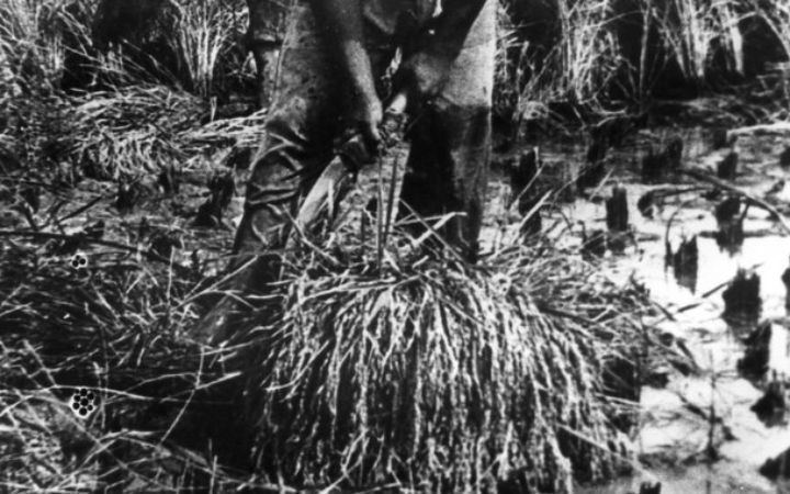 archivos_historicos_x86x