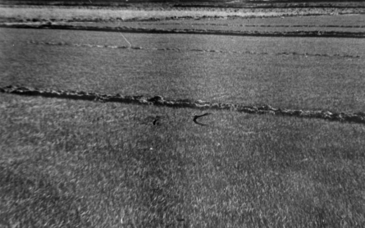 archivos_historicos_x89x