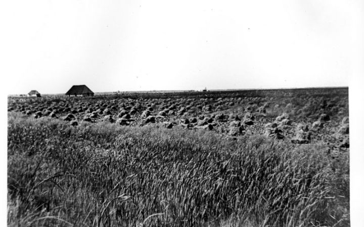 archivos_historicos_x90x