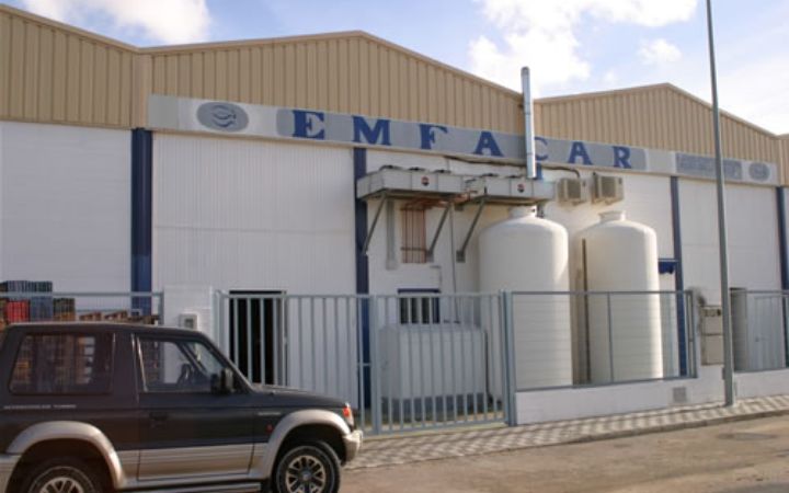 manufactura_de_cangrejo