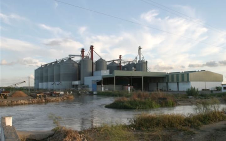 silos_de_arroz