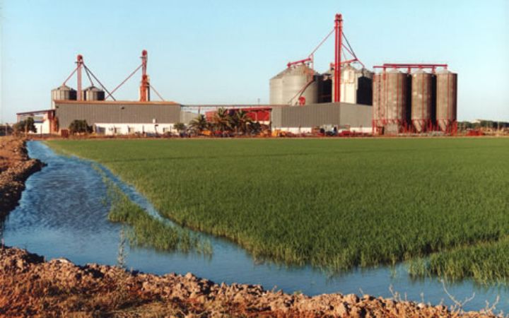 union_de_arroceros_II